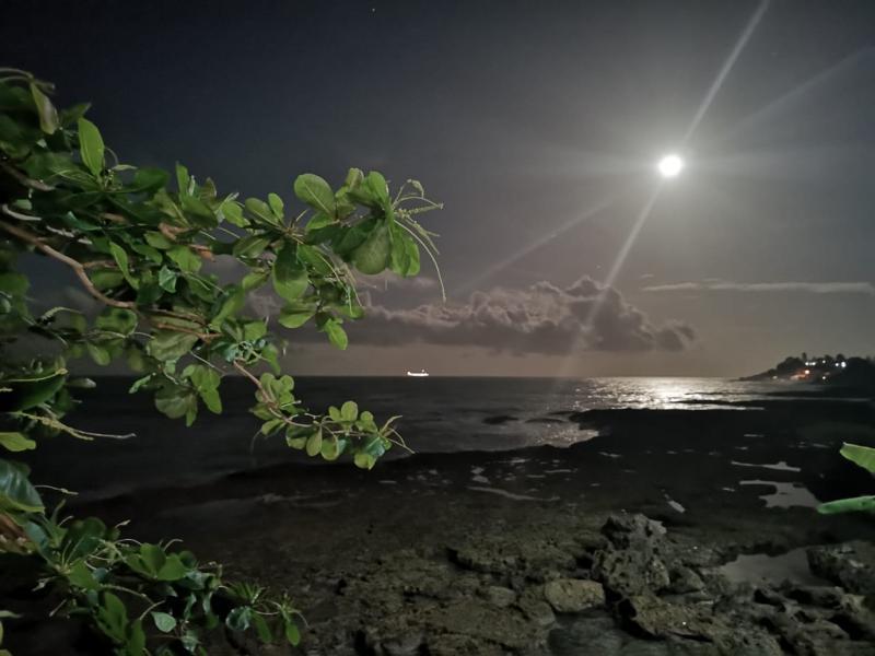 Hotel Playa Bonita Пуэрто-Лимон Экстерьер фото